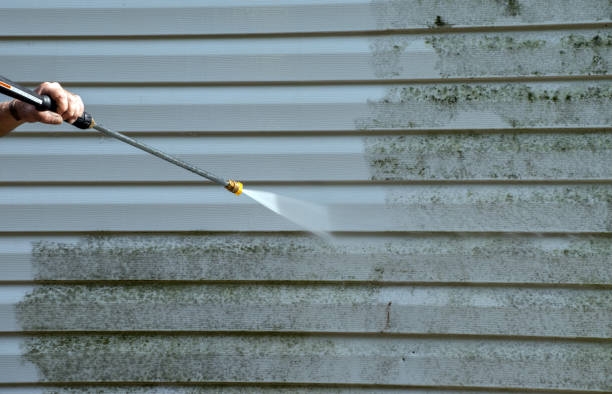 Best Mold Damage Repair  in St Ansgar, IA