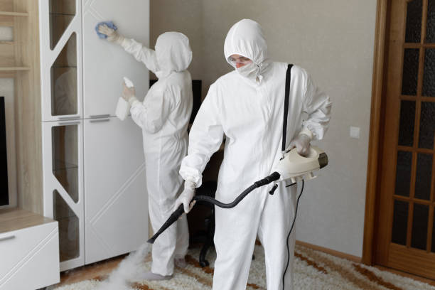 Best Attic Mold Removal  in St Ansgar, IA