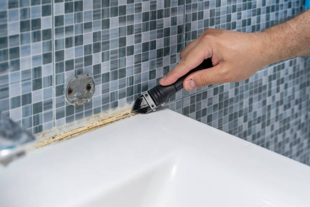 Best Toxic Mold Removal  in St Ansgar, IA